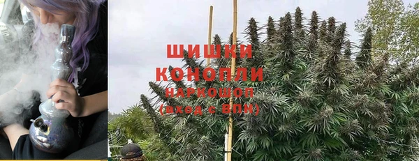 дурь Алзамай